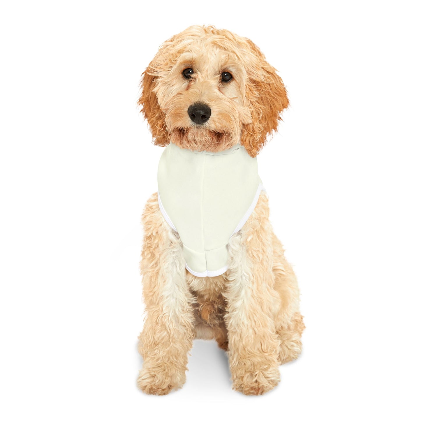"Progress not perfection" hoodie,cute gift to pets