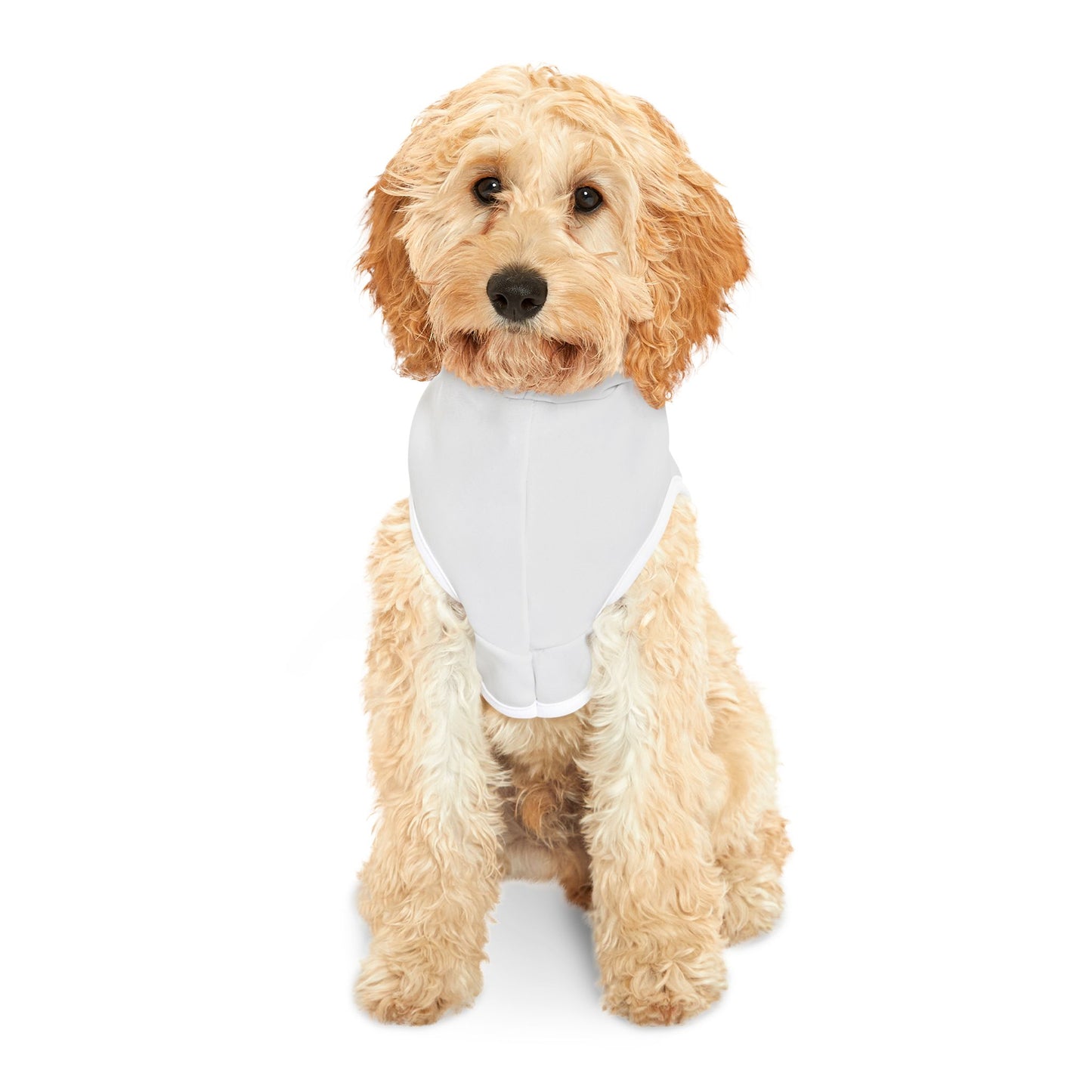 Inspirational Dinosaur Pet Hoodie, Cute Dog Sweater, Adorable Pet Apparel, Perfect Gift for Pets, Motivational Hoodie for Dogs