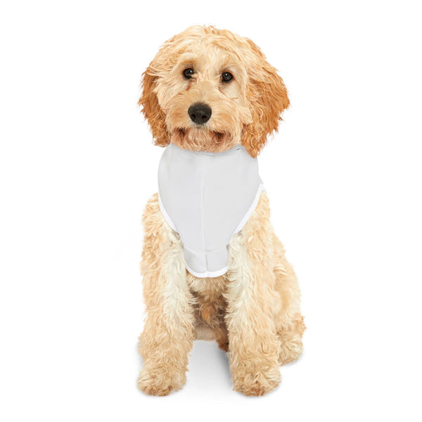 Inspirational Dinosaur Pet Hoodie, Cute Dog Sweater, Adorable Pet Apparel, Perfect Gift for Pets, Motivational Hoodie for Dogs