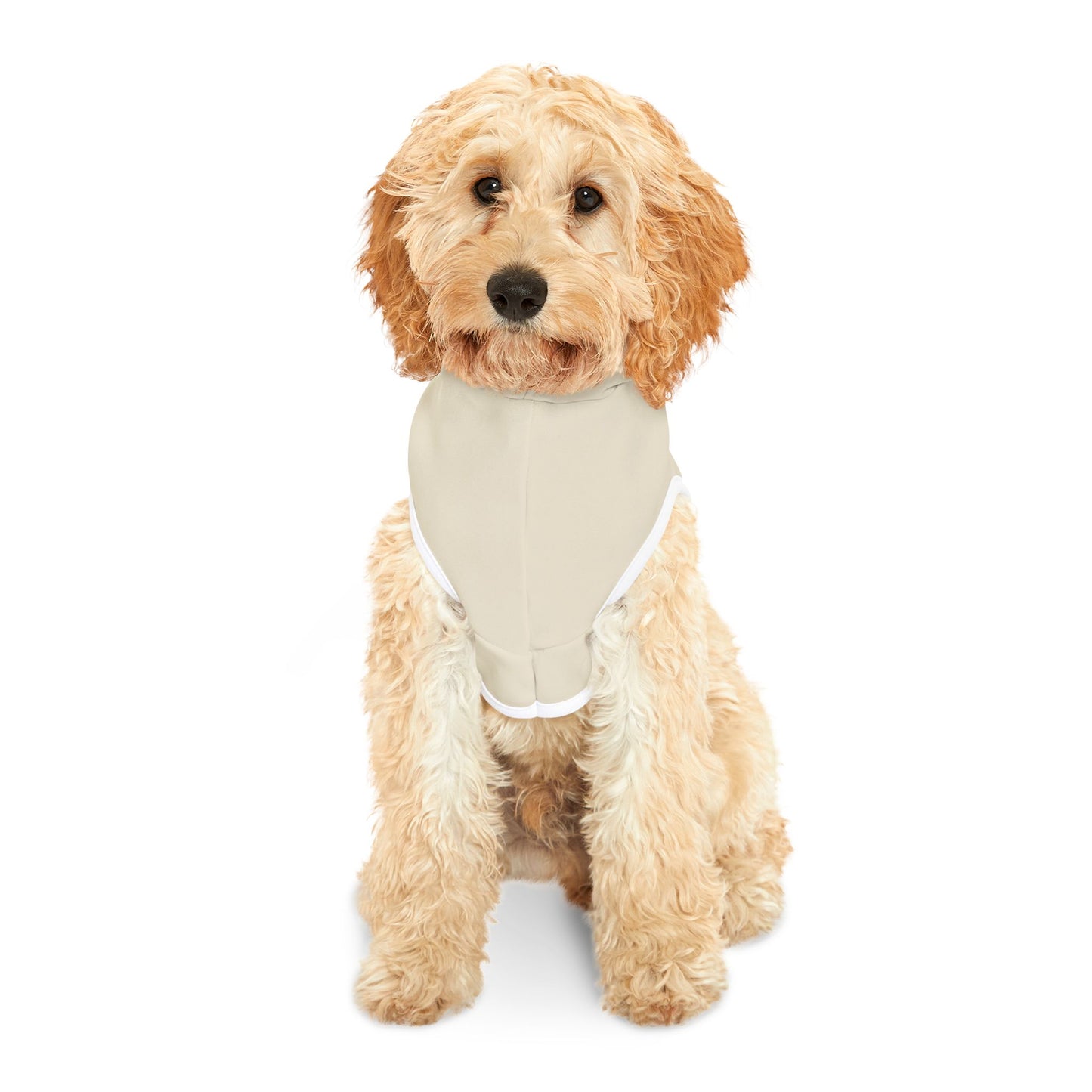 Trendy Pet Hoodie for Stylish Dogs, Perfect for Cool Days, Dog Lover Gift, Casual Wear, Unique Pet Apparel, Fun Pet Accessories